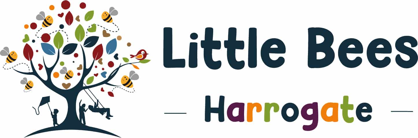 Little Bees Harrogate soft play fun activities for kids