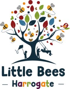 Little Bees Harrogate Soft Play, baby sensory sessions and role play village